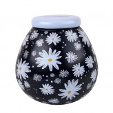 Daisy - Pot of Dreams  62843