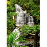 Rainforest - Microfibre Cloth