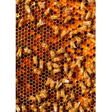 Bee's - Microfibre Cloth