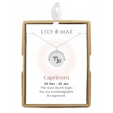 Capricorn - Spinning Pendant