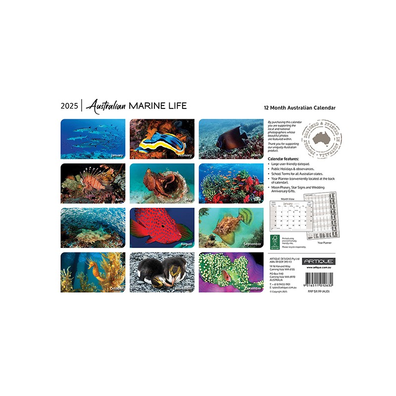 Australian Marine Life Souv Wall C