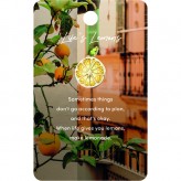 Lifes Lemons - Thoughtful Blessings