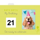 Birthday (Large) - The Countdown Box