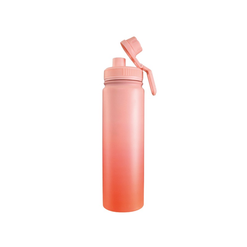 Water Bottle - Ombre Peach - Wyld Ryde