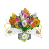 Birthday Gerbera - Pop Up Greeting Card
