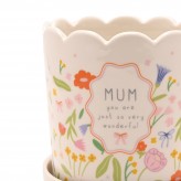 Mum - Plant Pot - Love Life
