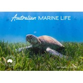 Australian Marine Life Souv Wall C
