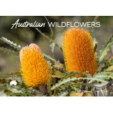 Aust W'Flowers Souv Wall