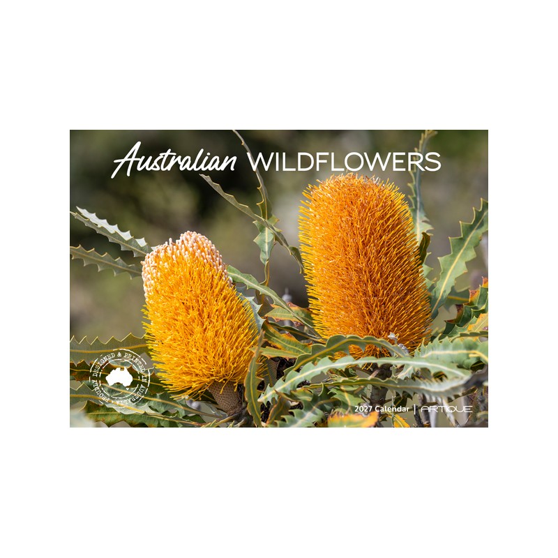 100629.jpg f618c43954872d896ec3d6efeff58e08