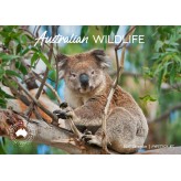 Aust Wildlife Souv Wall Cal