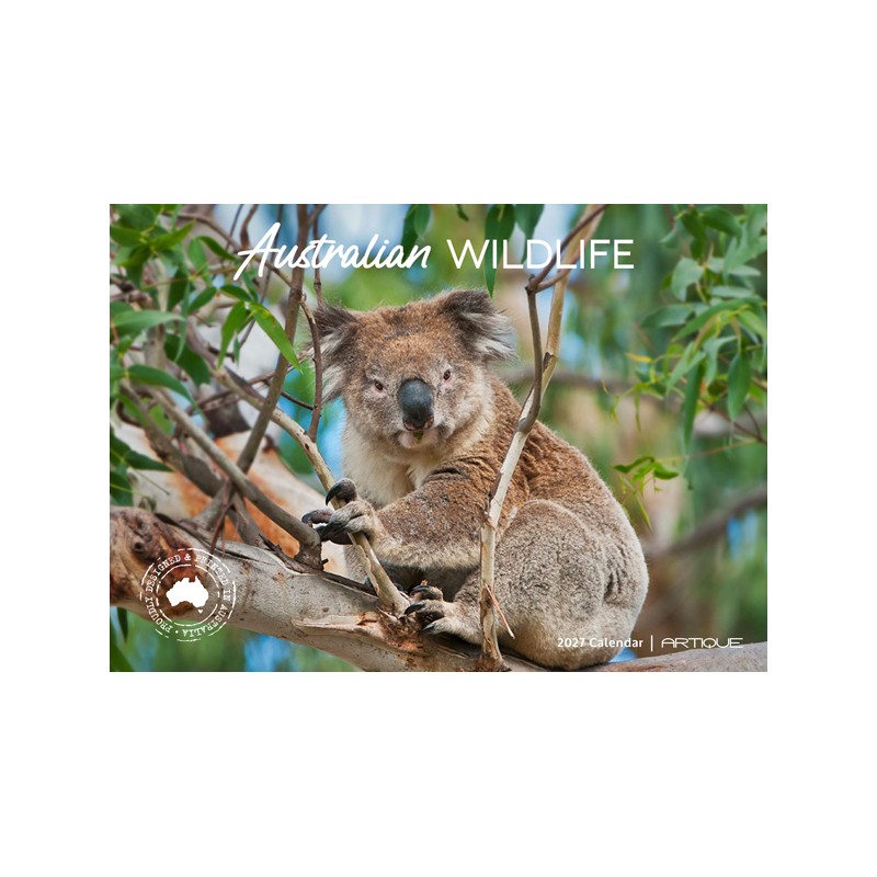 100631.jpg 6b77988e9837387d177914403454ee31