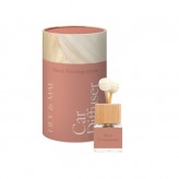 Pomegranate - L&M Car Diffuser