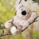 Softies Pack